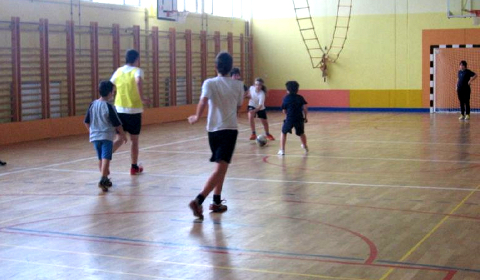 Slika novice